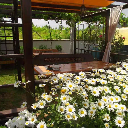 Lozyata Guest house 4*