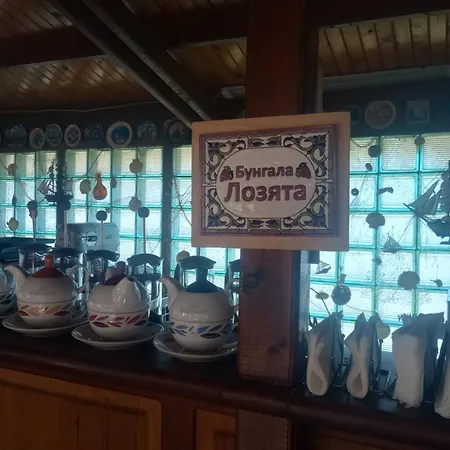 Guest house Lozyata 4*