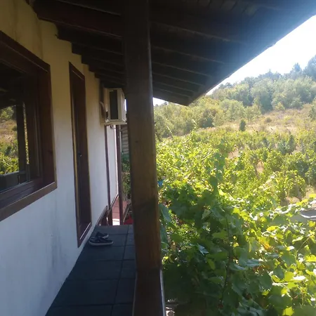 Pensionat Lozyata Obzor