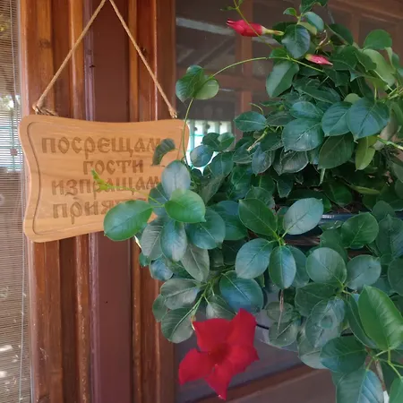 Guest house Lozyata 4*