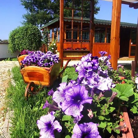 Guest house Lozyata Obzor