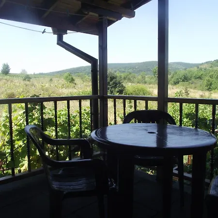 Lozyata Guest house