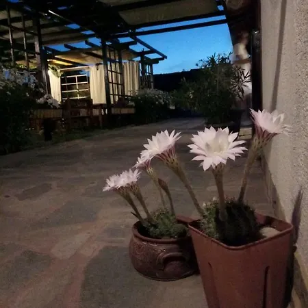 Lozyata 4* Obzor