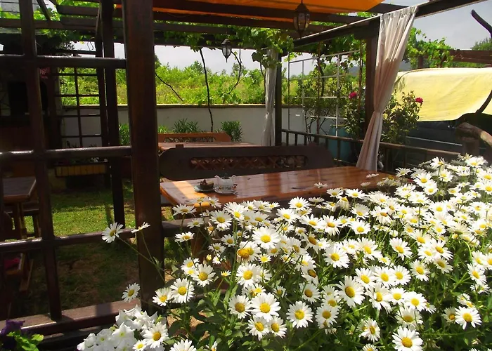 Lozyata Pensionat 3*