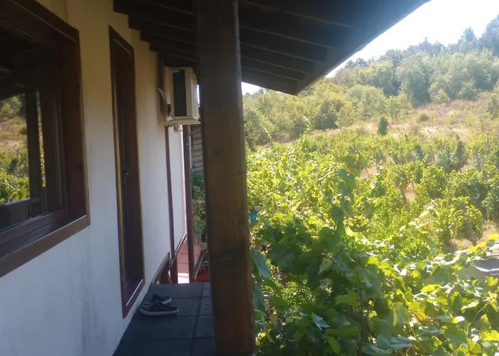 Pensionat Lozyata Obzor