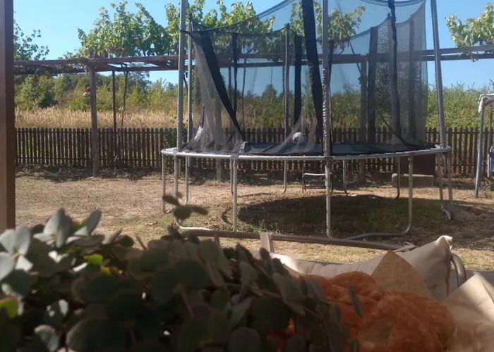 Гостевой дом Lozyata Обзор