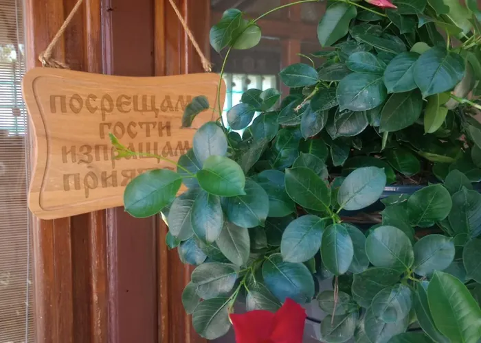 Гостевой дом Lozyata 3*