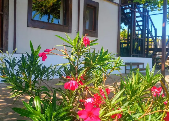 Гостевой дом Lozyata