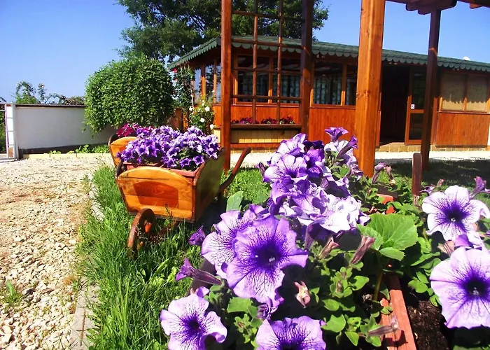 Гостевой дом Lozyata Обзор