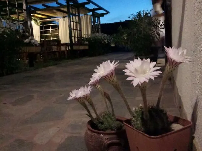 Lozyata 3* Обзор